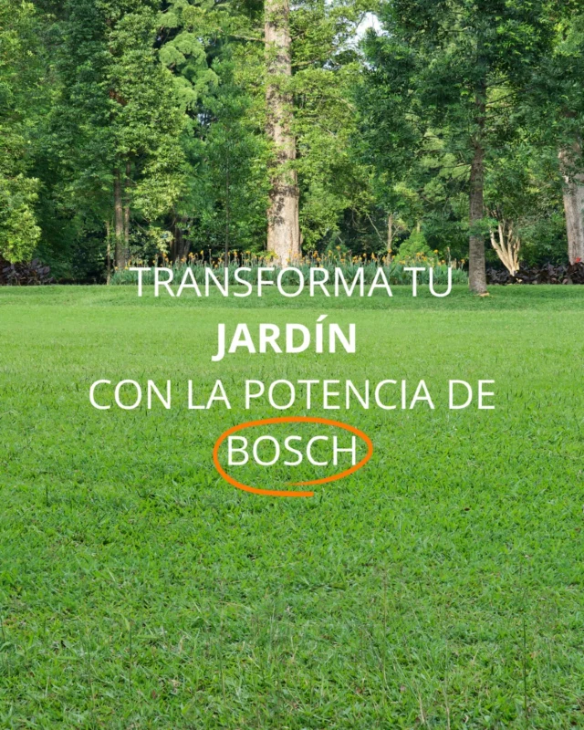 🌿 ¿Tu jardín pide ayuda a gritos?

En Vallesana tenemos la solución perfecta para que lo pongas a punto sin esfuerzo… y con potencia profesional.

Soplar, cortar, perfilar o recargar.
Sí, todo lo haces con estas 4 herramientas que te presentamos hoy.

🔋 Todas a batería. Todas @bosch_espana

👉 Desliza y descubre:

🔹Soplador GBL 18V-800:🍂

• Motor sin escobillas para mayor durabilidad.
• Flujo de aire de 800 m³/h y velocidad de hasta 200 km/h.
• Control de velocidad variable para adaptarse a tus necesidades.​

🔹Sierra de cadena GKE 18V-40:🪚

• Tecnología BITURBO Brushless para un rendimiento superior.
• Barra de 40 cm ideal para ramas gruesas y vigas.
• Función OptiCut que ajusta automáticamente la velocidad.

🔹Cortabordes GRT 18V-40:🌿

• Diseño ergonómico para mayor comodidad.
• Corte preciso en áreas difíciles de alcanzar.
• Compatible con el sistema Bosch Professional 18V.

🔹Power Set: 2 baterías ProCORE 18V 8,0 Ah + cargador GAL 18V-160:🔋

• Dos baterías ProCORE 18V de 8,0 Ah para mayor autonomía.
• Cargador GAL 18V-160 para recargas rápidas.
• Compatibilidad total con herramientas Bosch Professional 18V.

💬 ¿Con cuál te quedarías tú?

#vallesana #jardineria #herramientas #boschgarden #mantenimiento #trabajoeficiente #boschprofessional #equipamientojardin #granollers